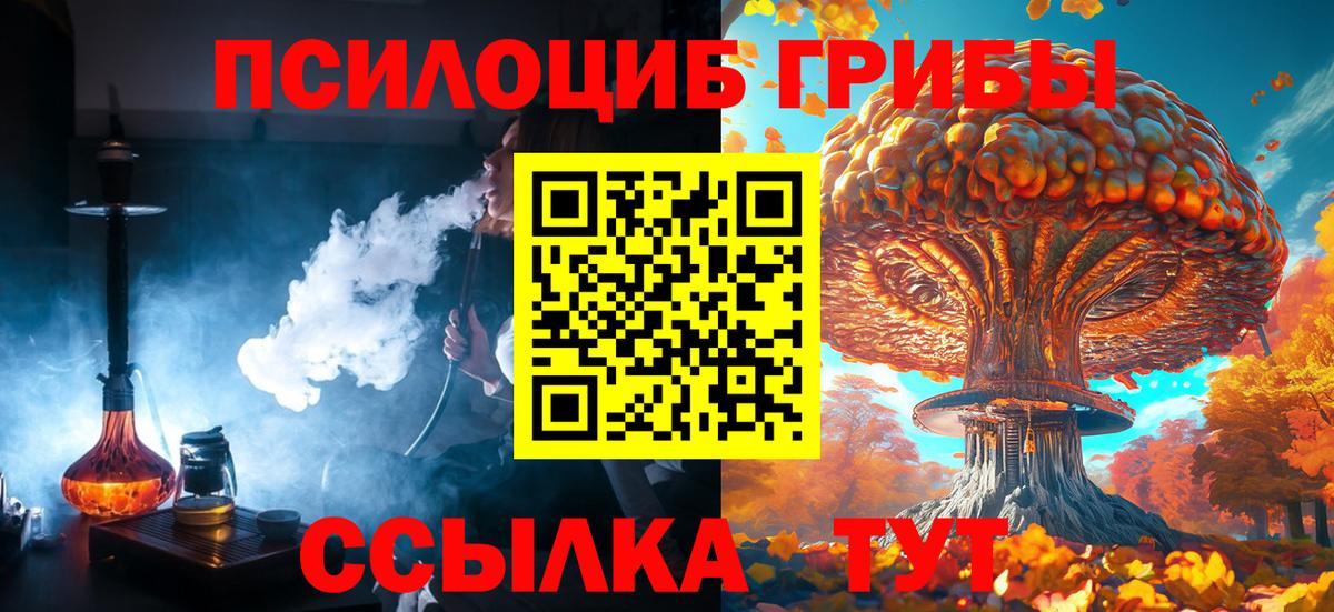 Псилоцибиновые грибы MAGIC MUSHROOMS Великий Новгород
