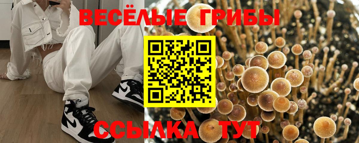 Псилоцибиновые грибы мицелий  Вход с VPN  купить  сайты  Великий Новгород 